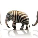 эмоциональная креативность, эмоциональный интеллект