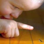 развитие эмоционального интеллекта, синтония, эмоциональный интеллект